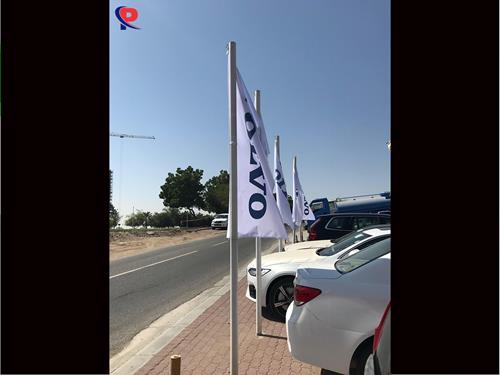 Portfolio - Flags