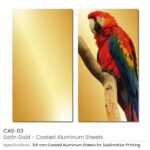 Coated Aluminum Sheet CAS 03