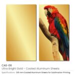 Coated Aluminum Sheet CAS 06