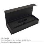 Gift Packaging Box GB PNUSB