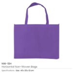 Non woven Bag NW 10H