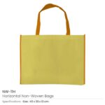 Non woven Bag NW 11H