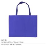 Non woven Bag NW 12H