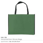 Non woven Bag NW 13H