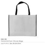 Non woven Bag NW 2H