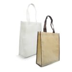 Non woven Bag NW V main t