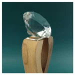 Wooden Crystal Trophy CR 63 04