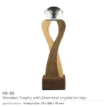 Wooden Crystal Trophy CR 63 Details