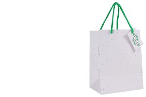 Paper Bags Category